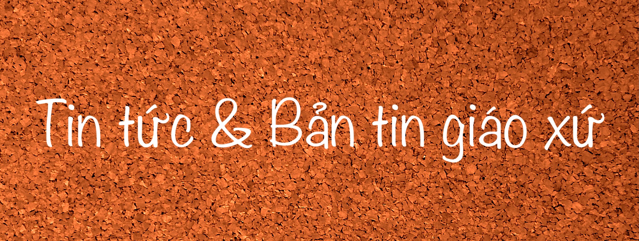 Tin tức & Bản tin