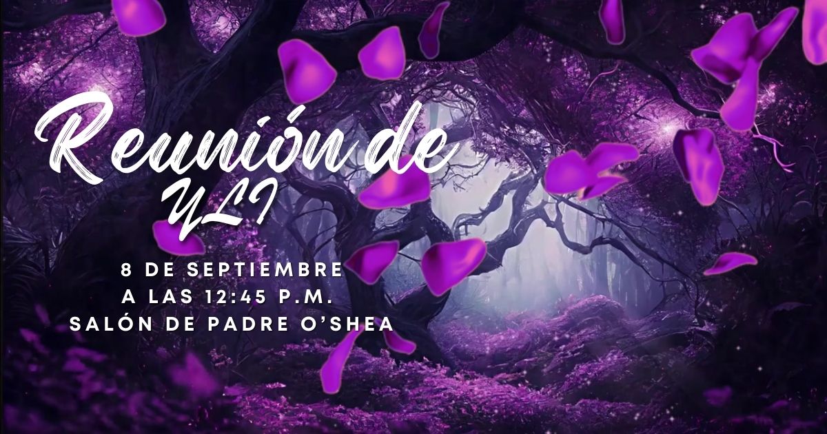 Reunión YLI