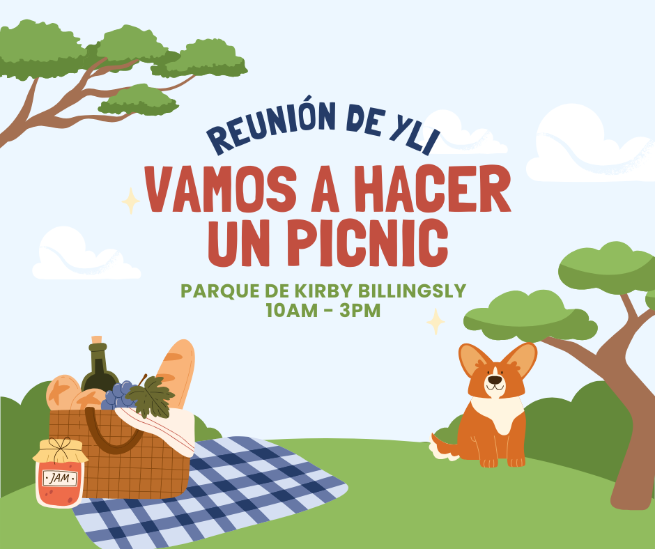 YLI Picnic