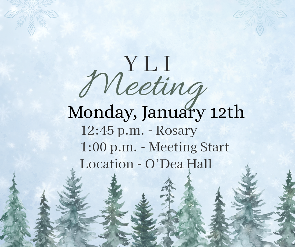 YLI Meeting